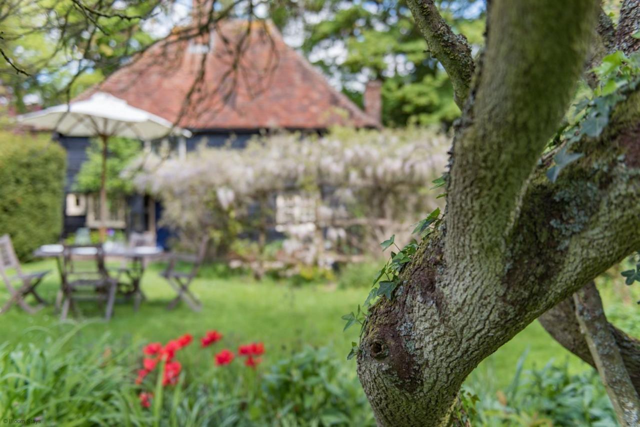 Walnut Tree Cottage By Bloom Stays Faversham Extérieur photo