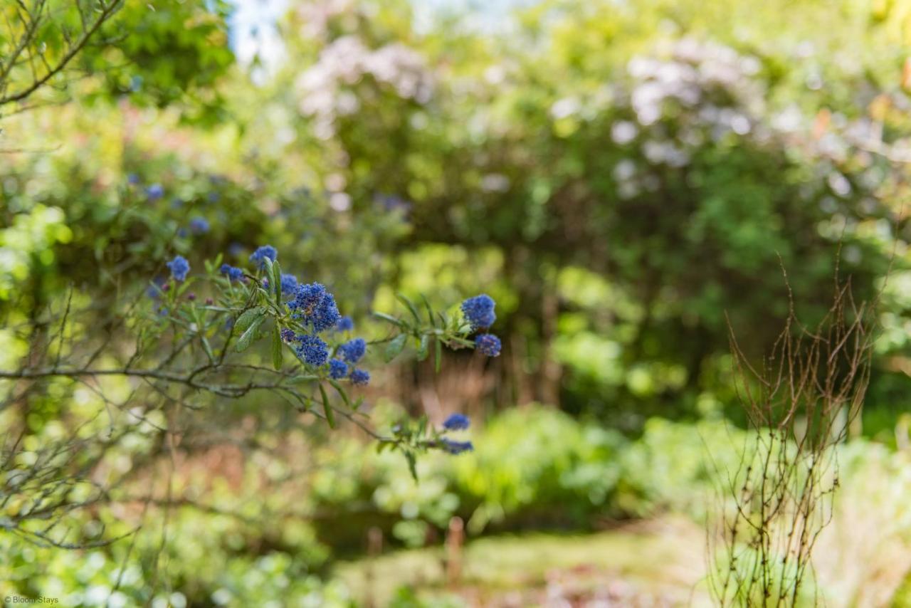 Walnut Tree Cottage By Bloom Stays Faversham Extérieur photo